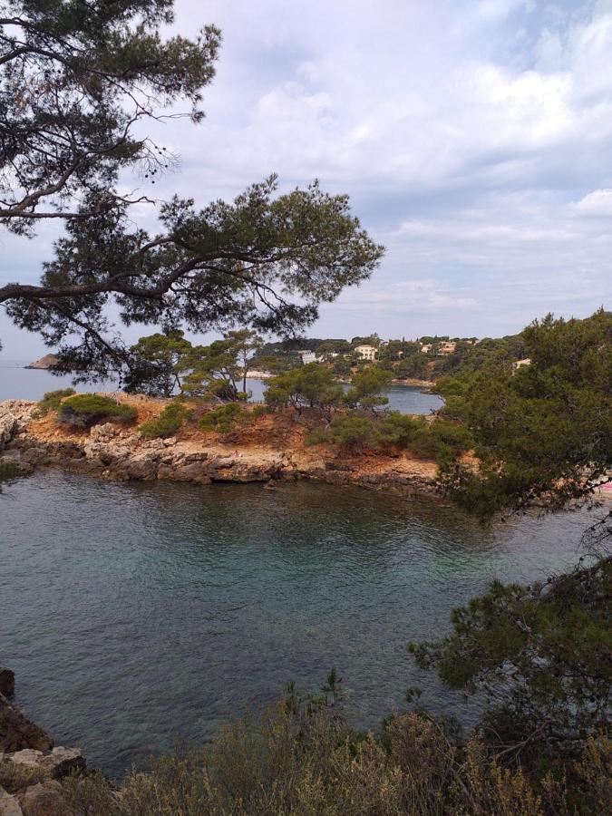 Joli Studio Res Au Calme En Rez De Jardin A Bandol. ภายนอก รูปภาพ
